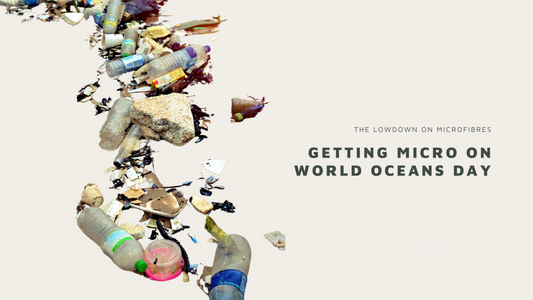 Getting Micro on World Oceans Day